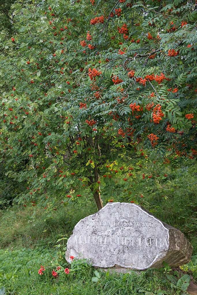 Памятный камень в честь Марины Цветаевой